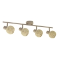 Deckenspot DEX 4xE14/10W/230V beige/creme