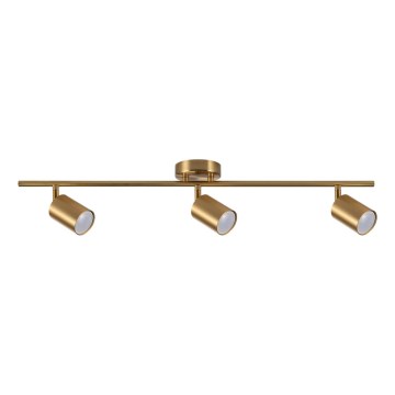 Deckenspot GOLDIE 3xGU10/10W/230V goldfarben