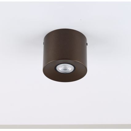 Deckenstrahler ORION 1xGU10/10W/230V 9 cm braun