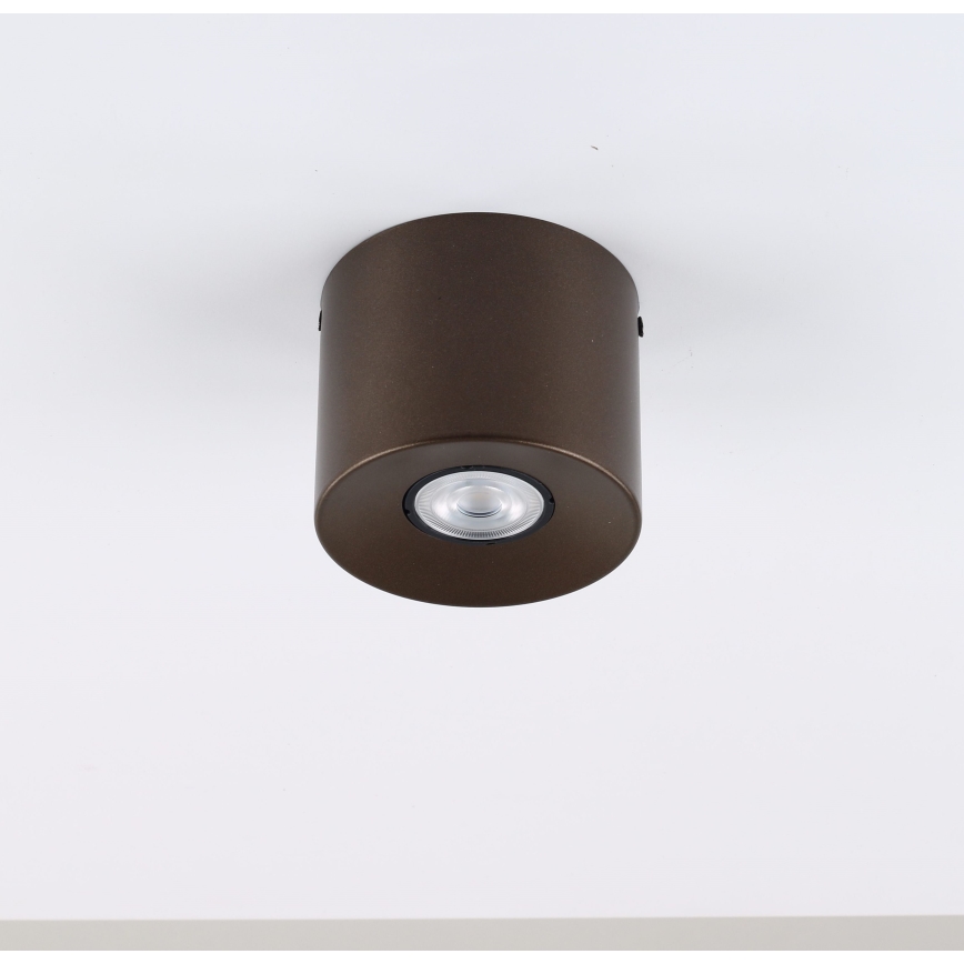 Deckenstrahler ORION 1xGU10/10W/230V 9 cm braun