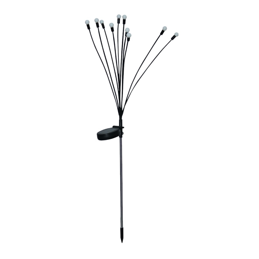 Dekorative LED-Solarleuchte 10xLED/1,2V 3000K 73 cm 600 mAh IP44