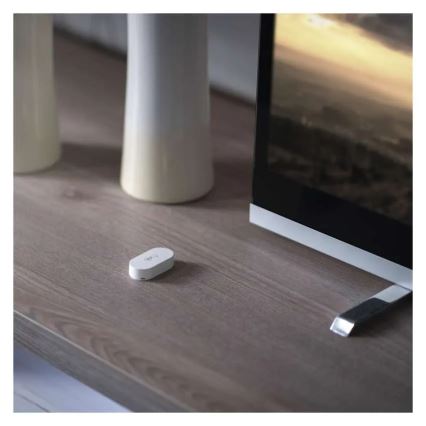 Digitales kabelloses Thermometer GoSmart 1×CR2032