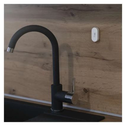 Digitales kabelloses Thermometer GoSmart 1×CR2032