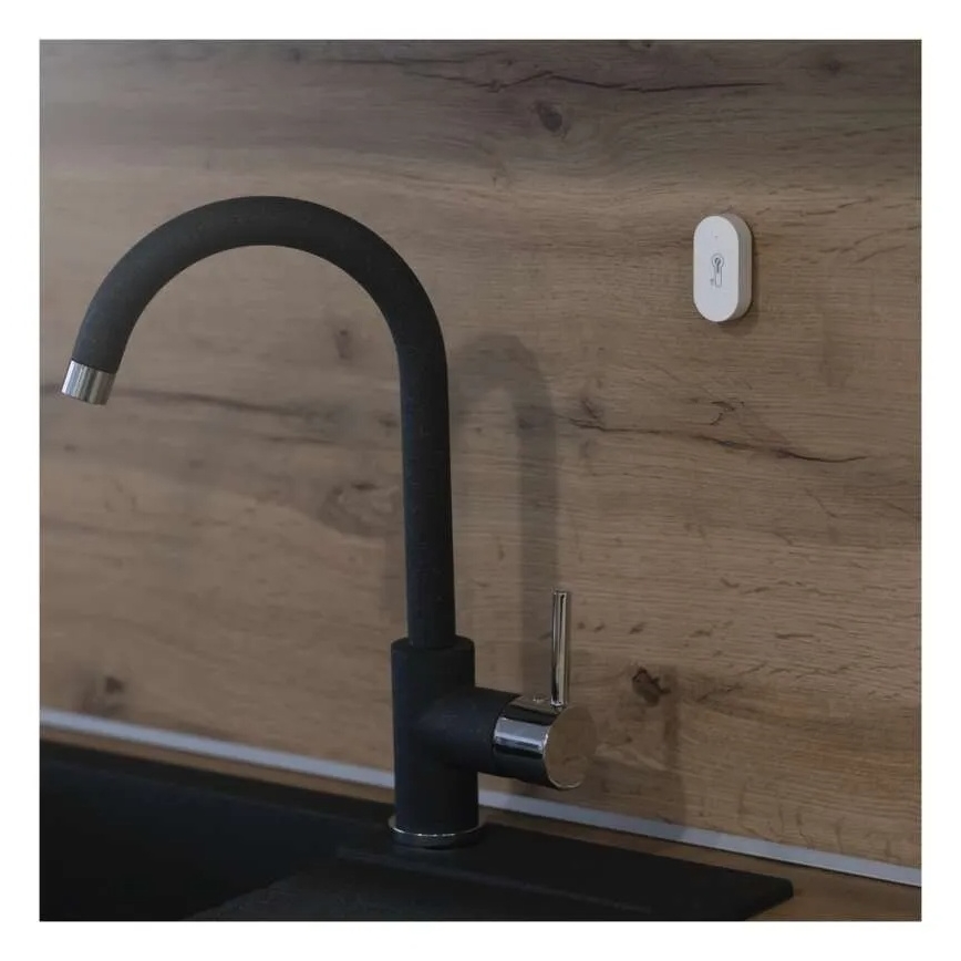 Digitales kabelloses Thermometer GoSmart 1×CR2032