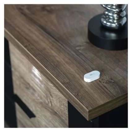 Digitales kabelloses Thermometer GoSmart 1×CR2032