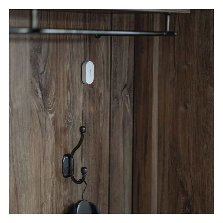 Digitales kabelloses Thermometer GoSmart 1×CR2032