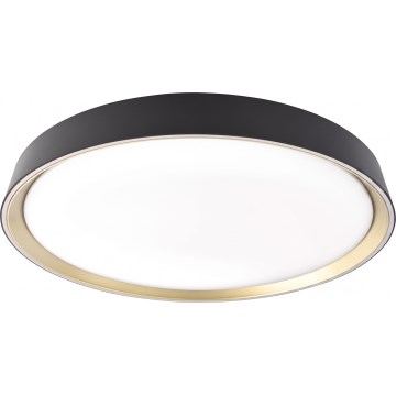 Dimmbare Deckenleuchte ILVI LED/45 W/230 V 2700–6500 K Ø 50 cm schwarz/messing + Fernbedienung