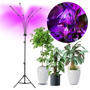 Dimmbare, flexible LED-Stehleuchte für die Pflanzenzucht VITARO 4xLED/7,5W/230V schwarz
