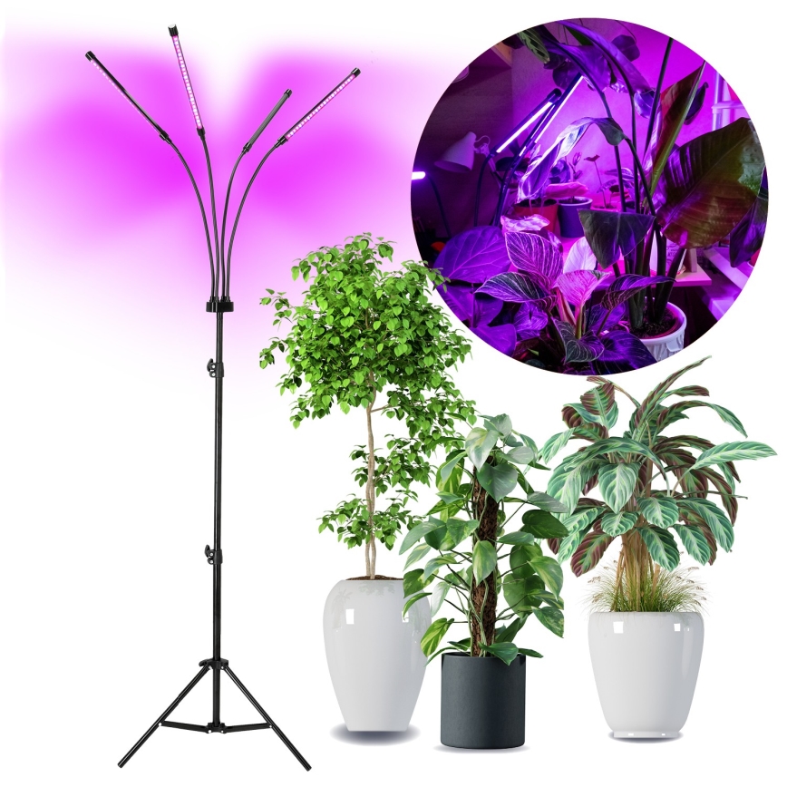 Dimmbare, flexible LED-Stehleuchte für die Pflanzenzucht VITARO 4xLED/7,5W/230V schwarz