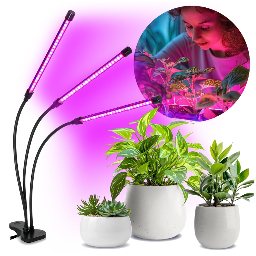 Dimmbare flexible LED-Tischleuchte mit Klemme für die Pflanzenzucht VITARO 3xLED/10W/230V schwarz