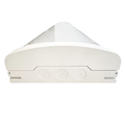 Dimmbare, fluoreszierende LED-Leuchte LED/35W/44W/52W/60W/230V 4000K 120 cm