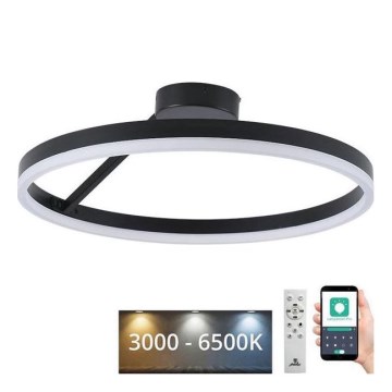 Dimmbare LED-Aufbauleuchte LED/40W/230V 3000-6500K schwarz + Fernbedienung
