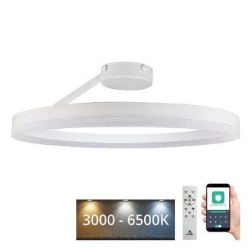 Dimmbare LED-Aufbauleuchte LED/40W/230V 3000-6500K weiß + Fernbedienung