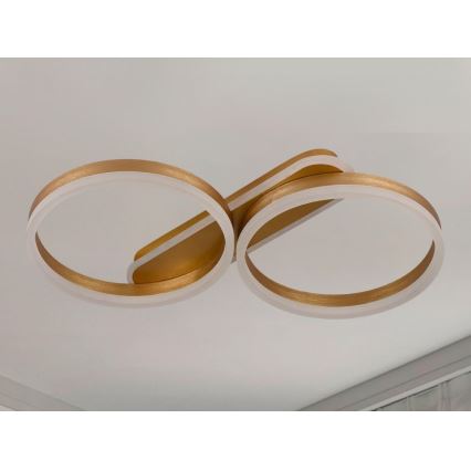 Dimmbare LED-Deckenleuchte 60W/230V 3000-6500K + Fernbedienung