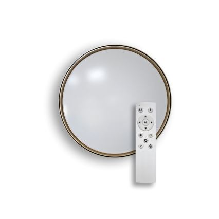 Dimmbare LED-Deckenleuchte EBRO LED/36W/230V 2700-6500K d 50 cm + Fernbedienung