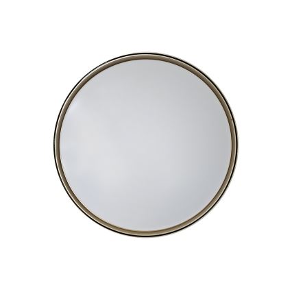 Dimmbare LED-Deckenleuchte EBRO LED/36W/230V 2700-6500K d 50 cm + Fernbedienung