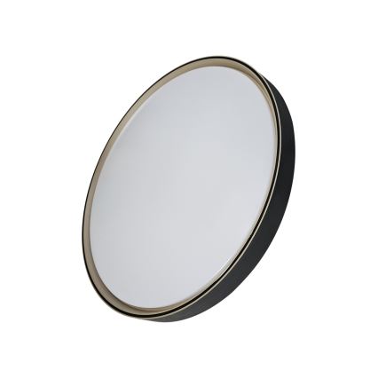 Dimmbare LED-Deckenleuchte EBRO LED/36W/230V 2700-6500K d 50 cm + Fernbedienung