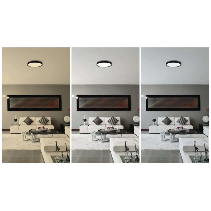 Dimmbare LED-Deckenleuchte ILVI LED/30W/230V 2700-6500K Ø 40 cm schwarz/messing + Fernbedienung