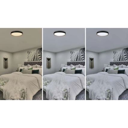 Dimmbare LED-Deckenleuchte ILVI LED/45W/230V 2700-6500K Ø 50 cm schwarz/beige + Fernbedienung
