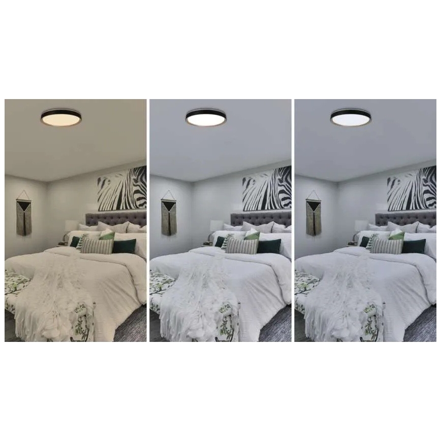 Dimmbare LED-Deckenleuchte ILVI LED/45W/230V 2700-6500K Ø 50 cm schwarz/beige + Fernbedienung