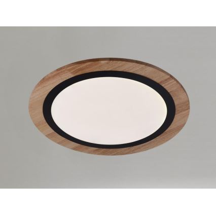 Dimmbare LED-Deckenleuchte LED/25W/230V 3000-6500K + Fernbedienung