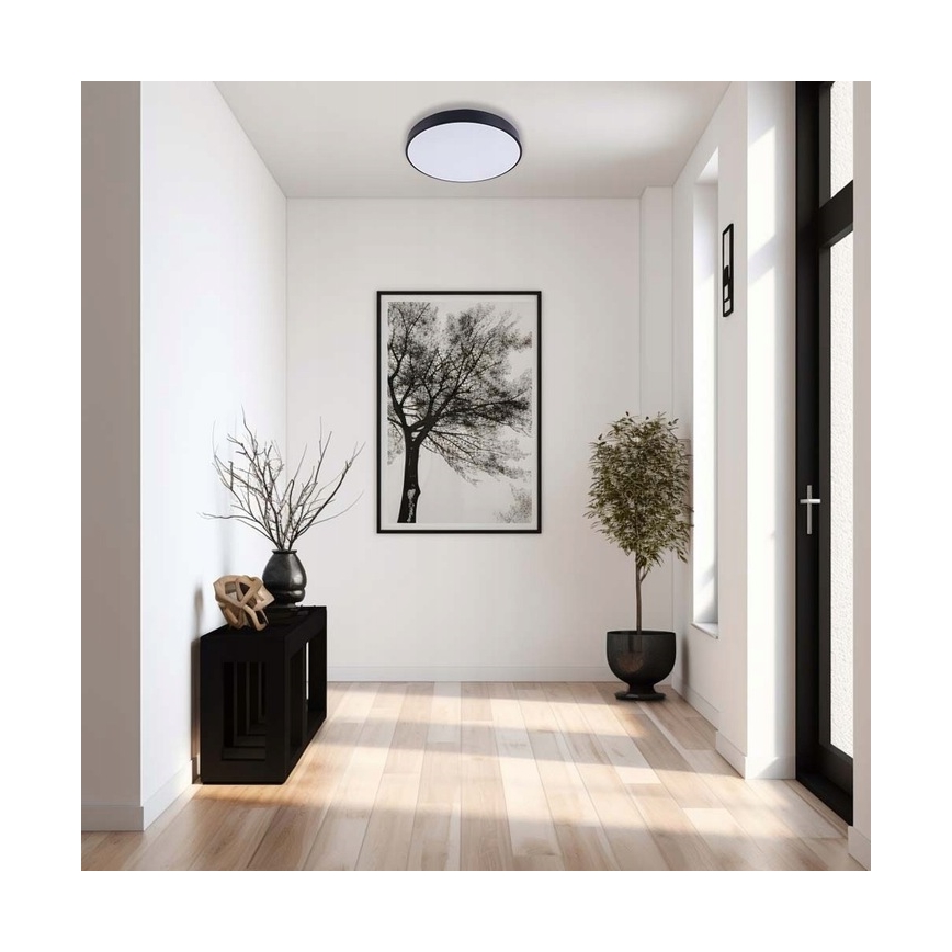 Dimmbare LED-Deckenleuchte LED/30W/230V 3000-6500K d 30 cm schwarz + Fernbedienung