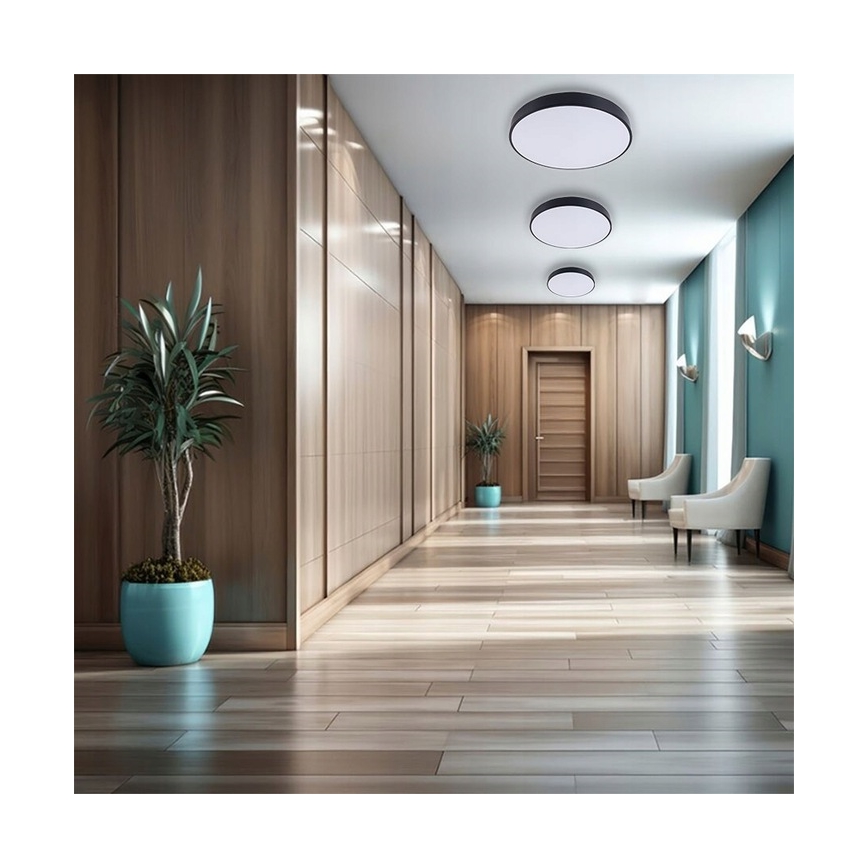 Dimmbare LED-Deckenleuchte LED/30W/230V 3000-6500K d 30 cm schwarz + Fernbedienung