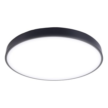 Dimmbare LED-Deckenleuchte LED/30W/230V 3000-6500K d 30 cm schwarz + Fernbedienung