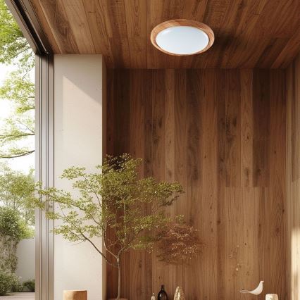 Dimmbare LED-Deckenleuchte LED/60W/230V 3000-6500K d 49 cm + Fernbedienung