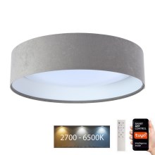 Dimmbare LED-Deckenleuchte SMART GALAXY LED/24W/230V d. 45 cm 2700-6500K Wi-Fi Tuya grau/weiß + Fernbedienung