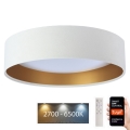 Dimmbare LED-Deckenleuchte SMART GALAXY LED/36W/230V d. 55 cm 2700-6500K Wi-Fi Tuya weiß/golden + Fernbedienung
