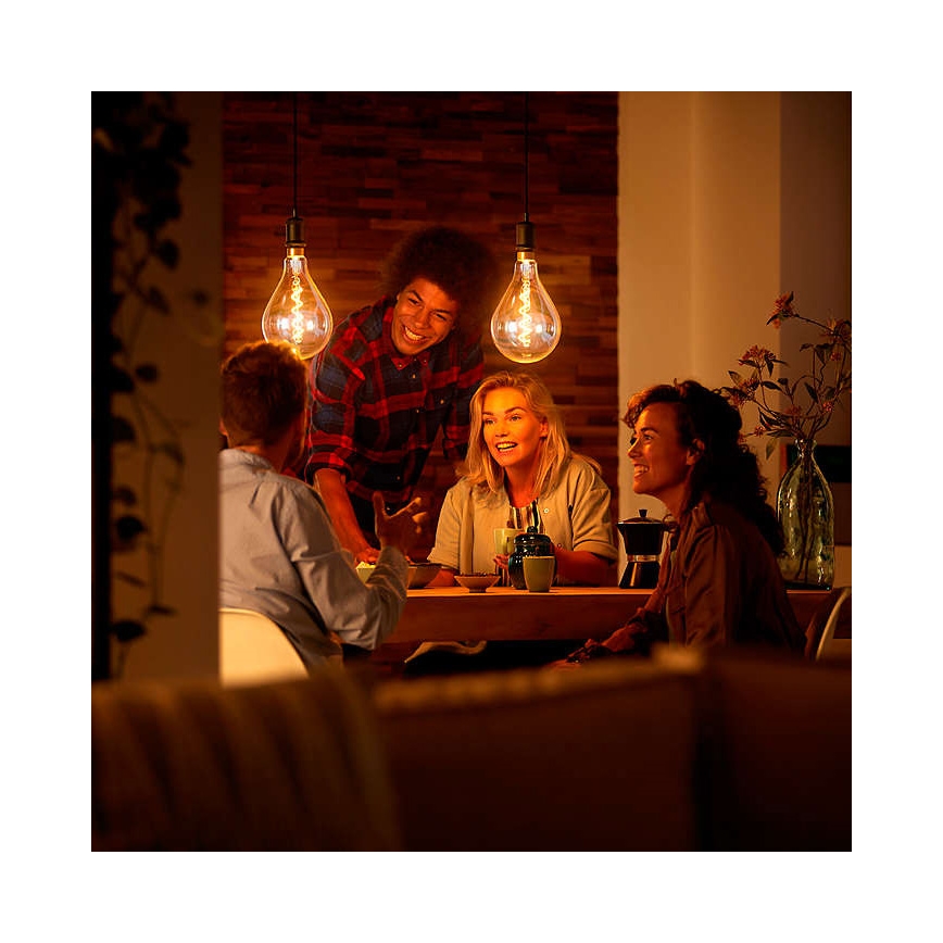 Dimmbare LED Glühbirne VINTAGE DYI E27/4W/230V 2700K - Leuchten Direkt 0846