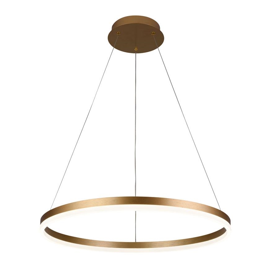 Dimmbare LED-Hängeleuchte an Schnur LED/42W/230V 3000-6500K + Fernbedienung