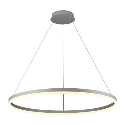 Dimmbare LED-Hängeleuchte an Schnur LED/55W/230V 3000-6500K + Fernbedienung