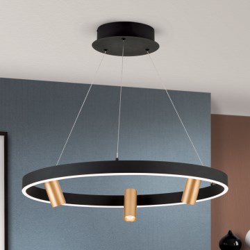 Dimmbare LED-Hängeleuchte BERLIN LED/50W/230V schwarz/golden