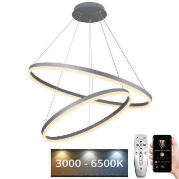 Dimmbare LED-Hängeleuchte LED/100W/230V 3000-6500K d 80 cm + Fernbedienung