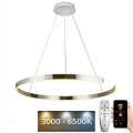 Dimmbare LED-Hängeleuchte LED/100W/230V 3000-6500K d 80 cm + Fernbedienung