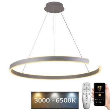 Dimmbare LED-Hängeleuchte LED/100W/230V 3000-6500K d 80 cm + Fernbedienung