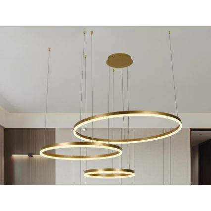 Dimmbare LED-Hängeleuchte LED/125W/230V 3000-6500K d 80 cm + Fernbedienung