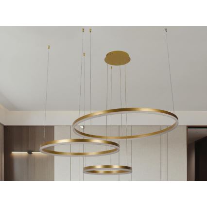 Dimmbare LED-Hängeleuchte LED/125W/230V 3000-6500K d 80 cm + Fernbedienung