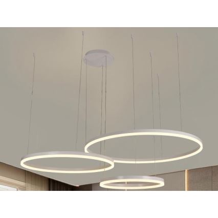 Dimmbare LED-Hängeleuchte LED/125W/230V 3000-6500K d 80 cm + Fernbedienung