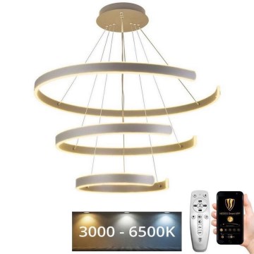 Dimmbare LED-Hängeleuchte LED/220W/230V 3000-6500K d 80 cm + Fernbedienung