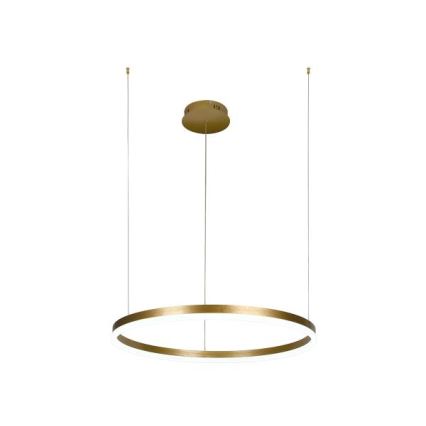 Dimmbare LED-Hängeleuchte LED/42W/230V 3000-6500K + Fernbedienung