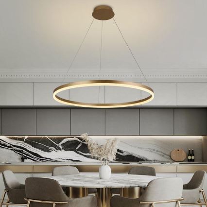 Dimmbare LED-Hängeleuchte LED/55W/230V 3000-6500K d 80 cm + Fernbedienung