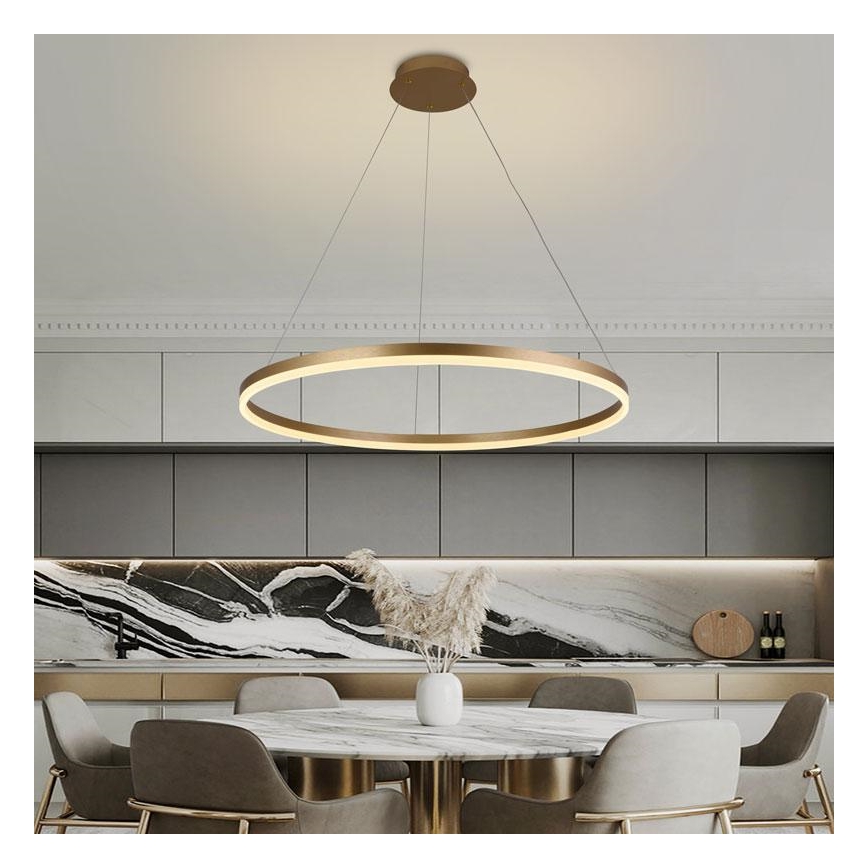 Dimmbare LED-Hängeleuchte LED/55W/230V 3000-6500K d 80 cm + Fernbedienung