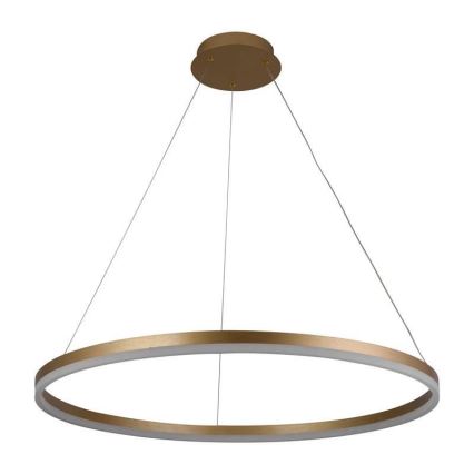 Dimmbare LED-Hängeleuchte LED/55W/230V 3000-6500K d 80 cm + Fernbedienung