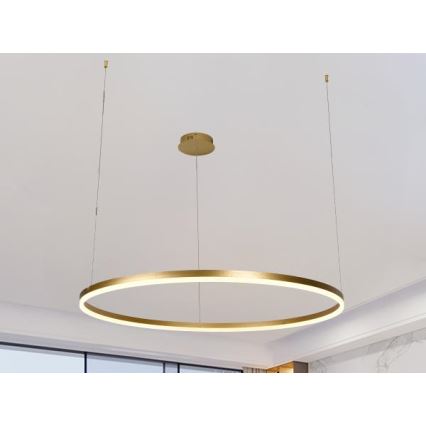 Dimmbare LED-Hängeleuchte LED/55W/230V 3000-6500K d 80 cm + Fernbedienung