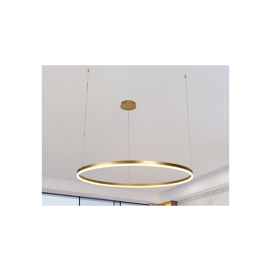 Dimmbare LED-Hängeleuchte LED/55W/230V 3000-6500K d 80 cm + Fernbedienung