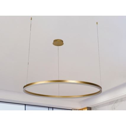Dimmbare LED-Hängeleuchte LED/55W/230V 3000-6500K d 80 cm + Fernbedienung