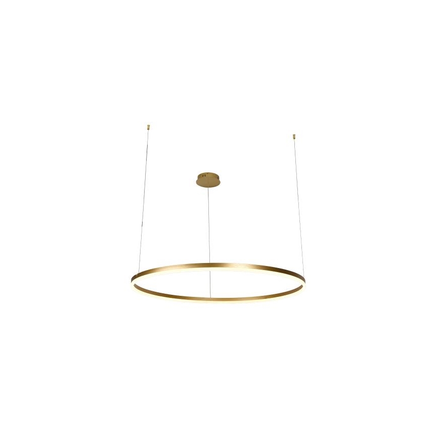 Dimmbare LED-Hängeleuchte LED/55W/230V 3000-6500K d 80 cm + Fernbedienung